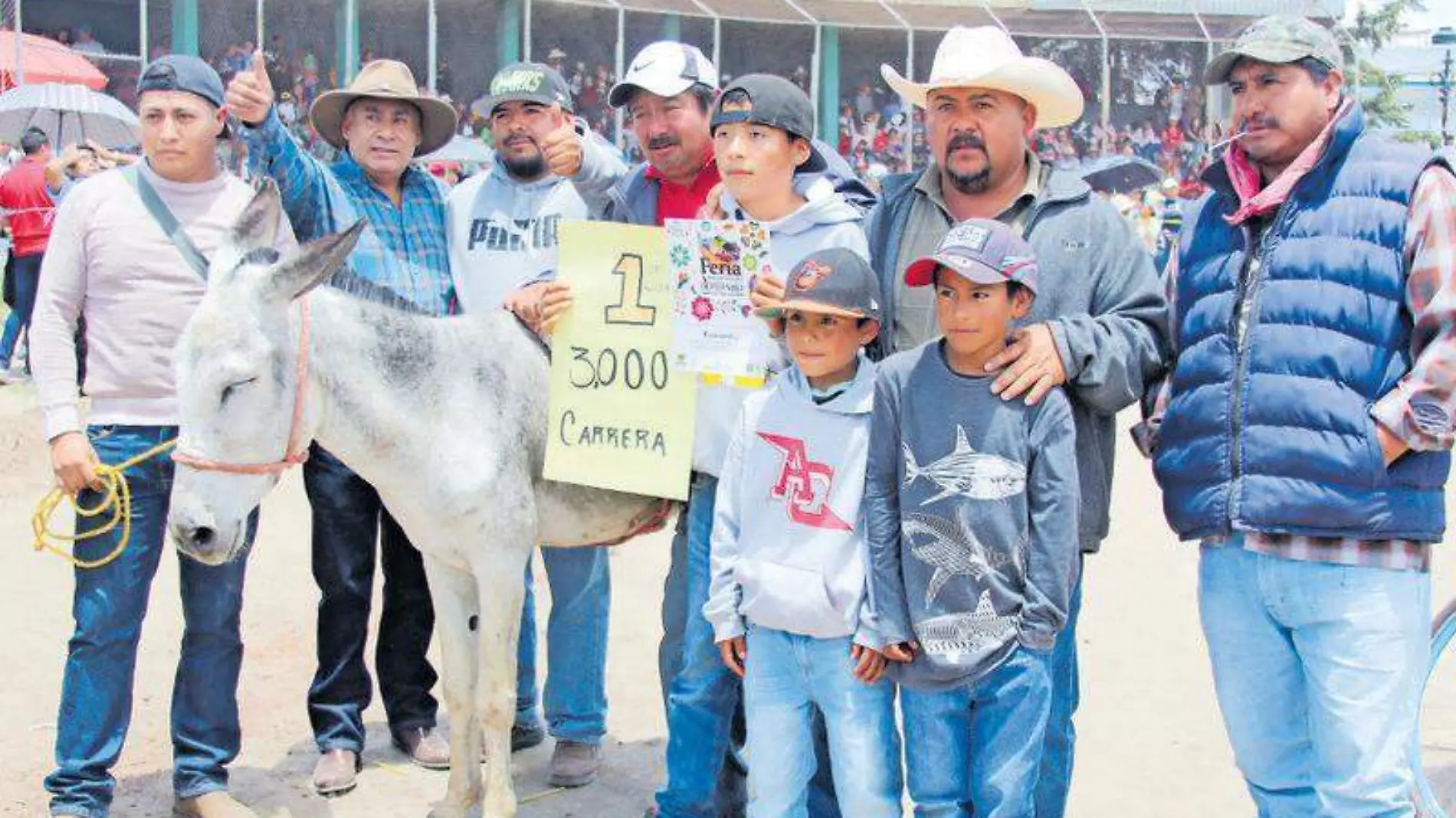 Carrera de burros (2)